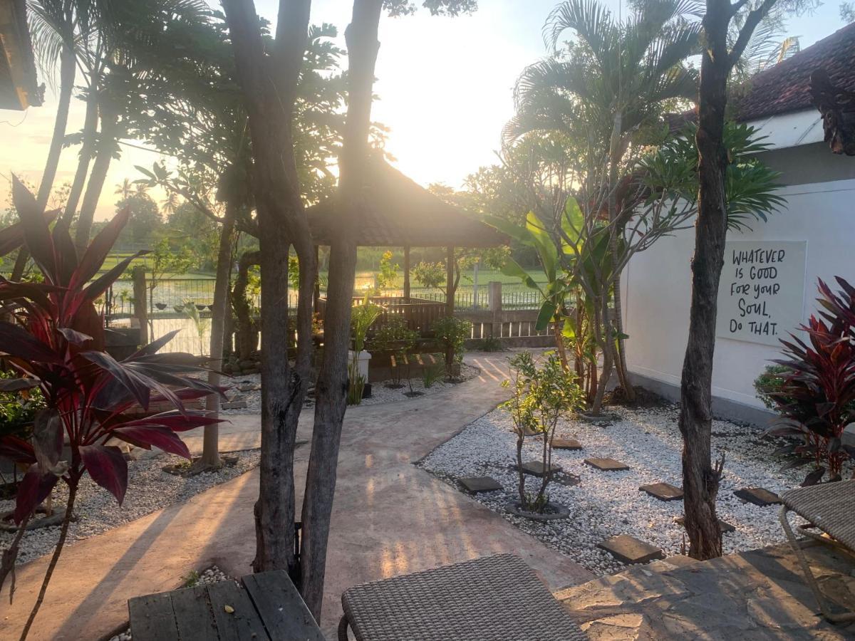 Lovina Vibes Hotel Balian Exteriér fotografie