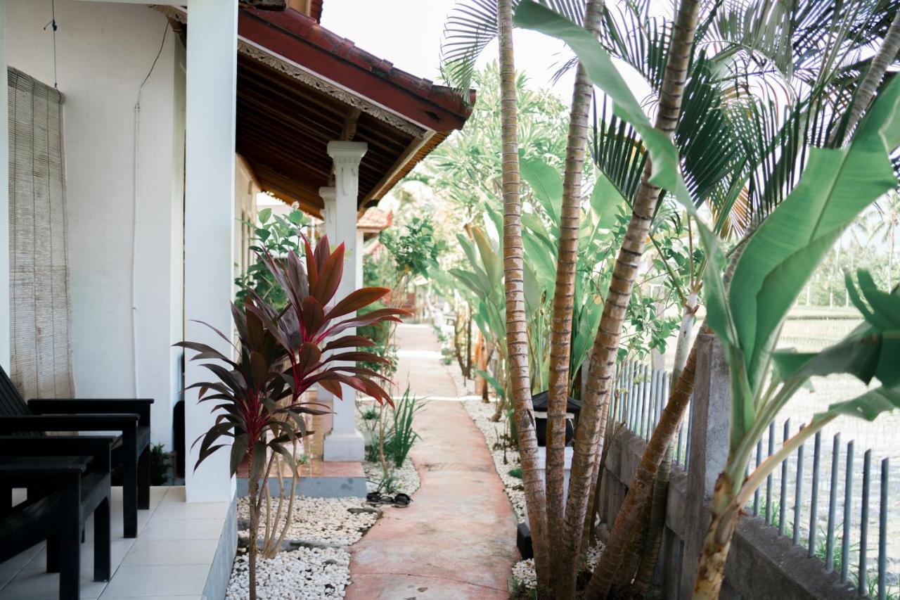 Lovina Vibes Hotel Balian Exteriér fotografie